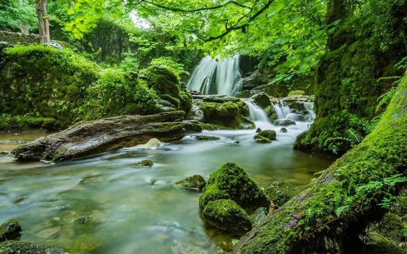 高标准智能系统独特